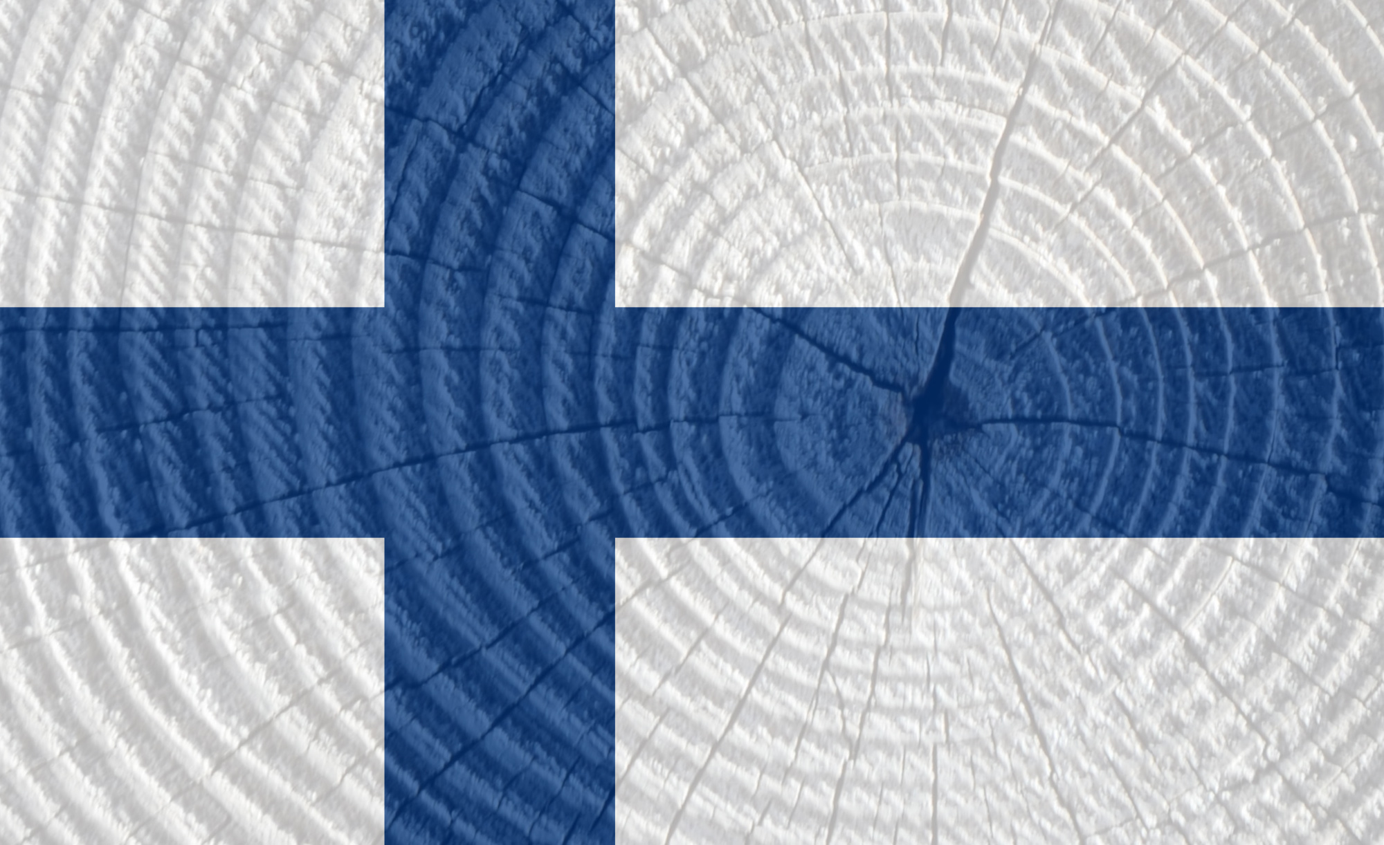 Frühere Münze In Finnland Mit 5 Buchstaben Kennzahlen der finnischen Forst- und Holzwirtschaft