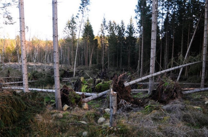 Kalamitäten Kalamitäten