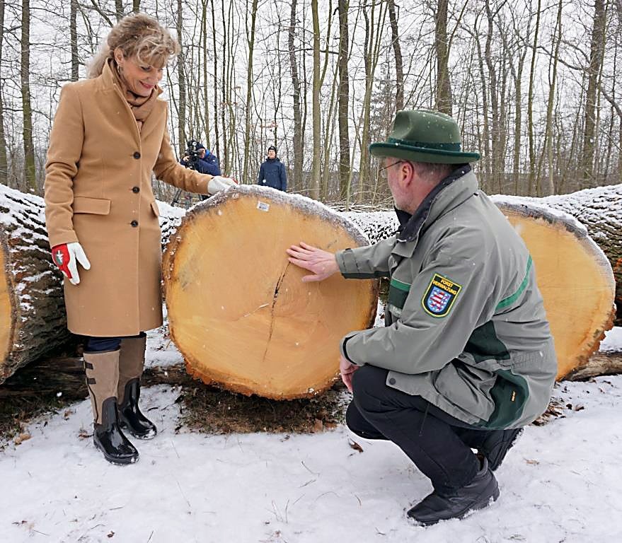 Wertholzsubmission Thüringen 2018
