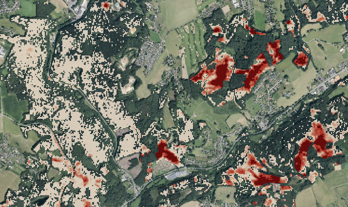Borkenkafer Bekampfung Mit Satellit