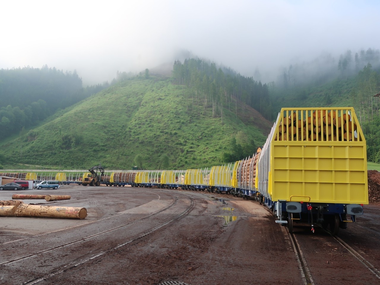 Rundholz voll auf Schiene