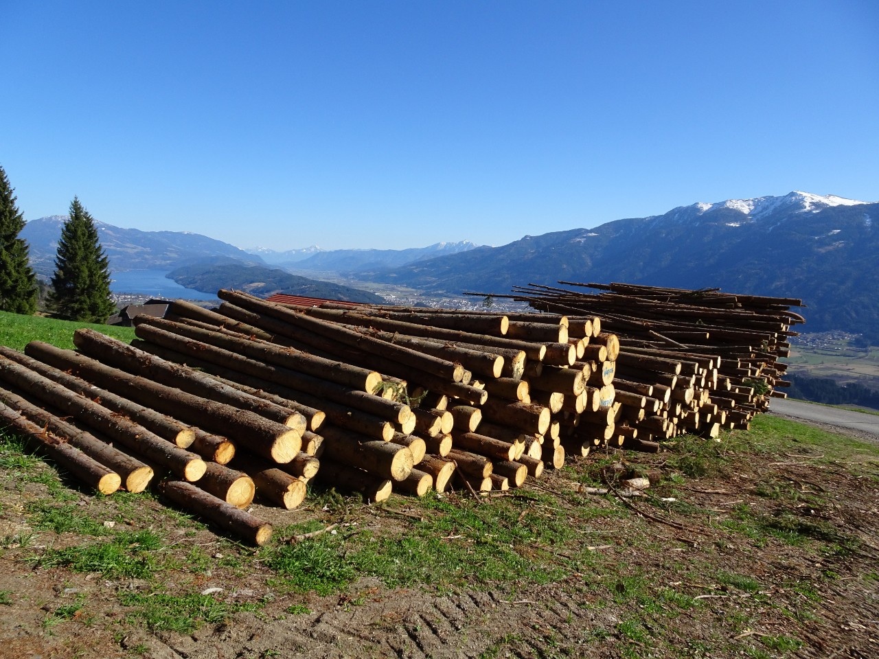 Fi/Ta Sägerundholz-Preisindex Österreich 1. Quartal 2023