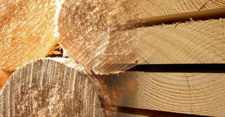 Index Rundholz Schnittholz August