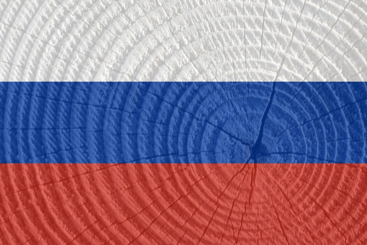 Russian export restrictions on wood products - Archytele