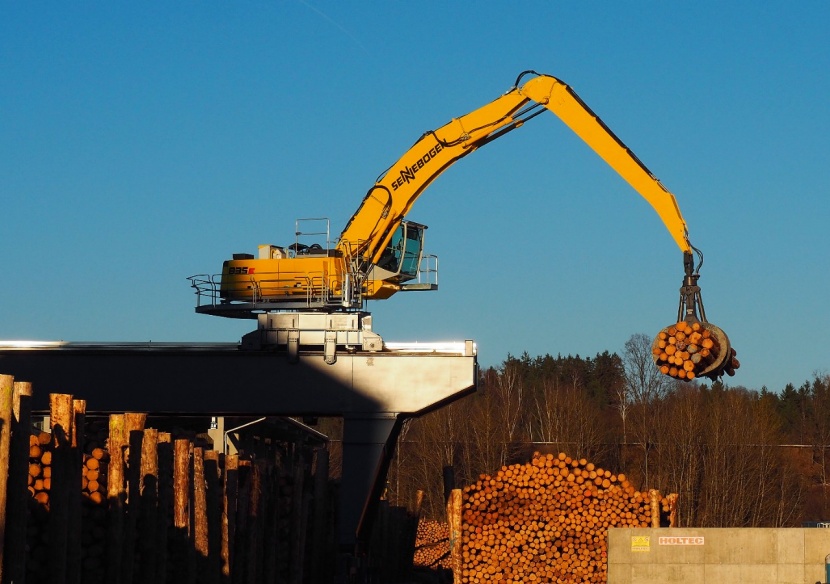 GELO Timber Saegewerk des Jahres 2022