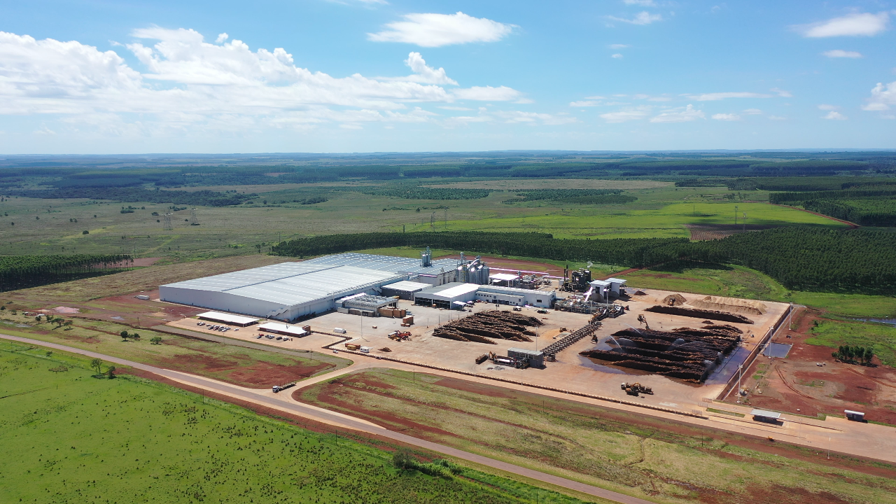 HS Timber Group: offizieller Start in Argentinien
